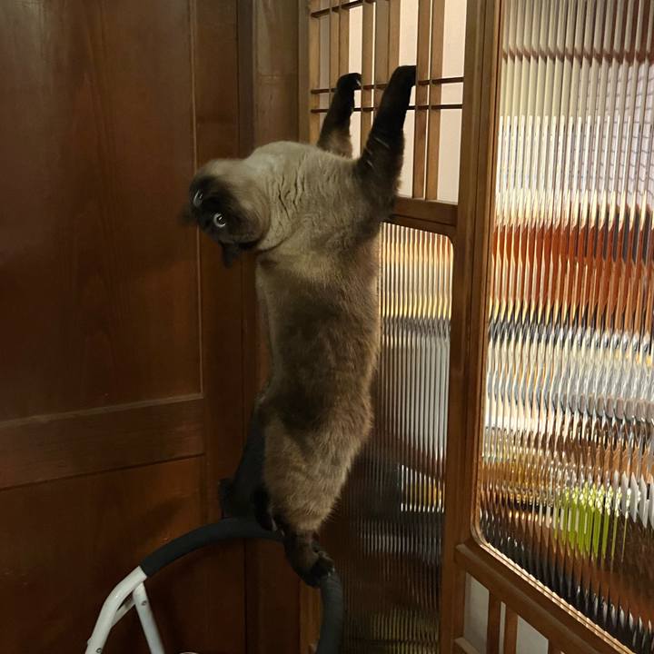 Ebbe574f 2b52 4cc7 9266 9fd8700827c4 1678105313957