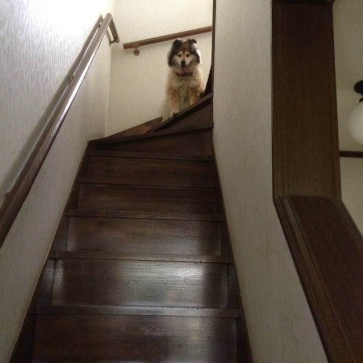 Ebbe78f2 4856 445e 8b6b e3a4ee07348a 1560359068829