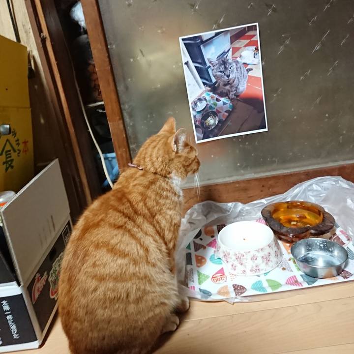 Ebbe7a76 a801 4a93 8794 1962121b379d 1602014296241