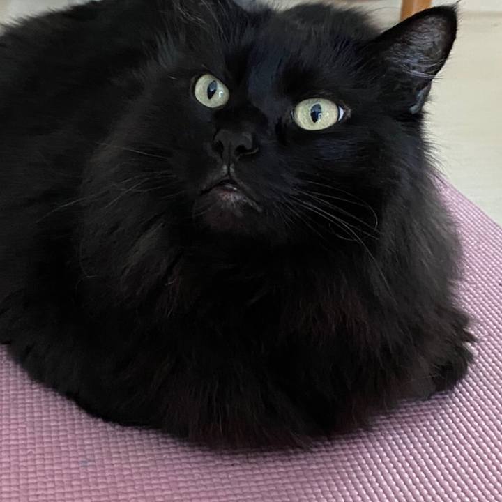 Ebbe843c 2071 4564 8a3d 3b837e67ad6d 1580017547482