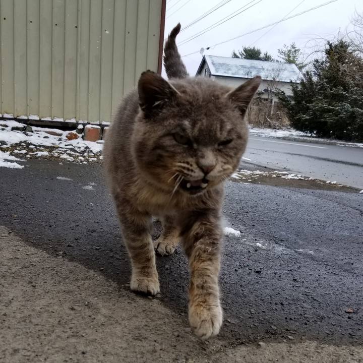 Ebbe8c29 573b 4fb9 babf 1150ff875392 1523578584527