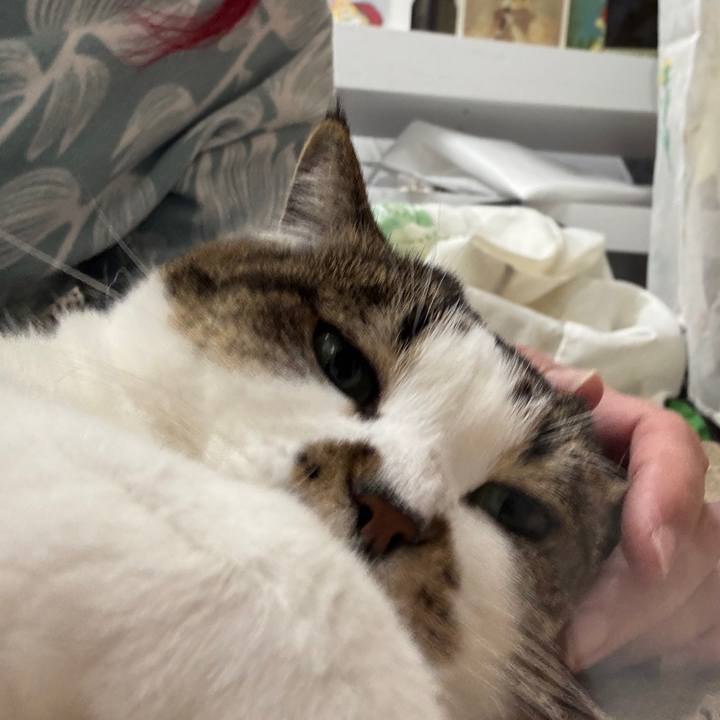 Ebbe9dd3 d2f5 4280 aef1 36a94272d329 1771156330155