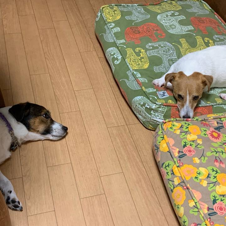 Ebbea3f2 8e46 42de a47c e2a38105fc54 1601113751852