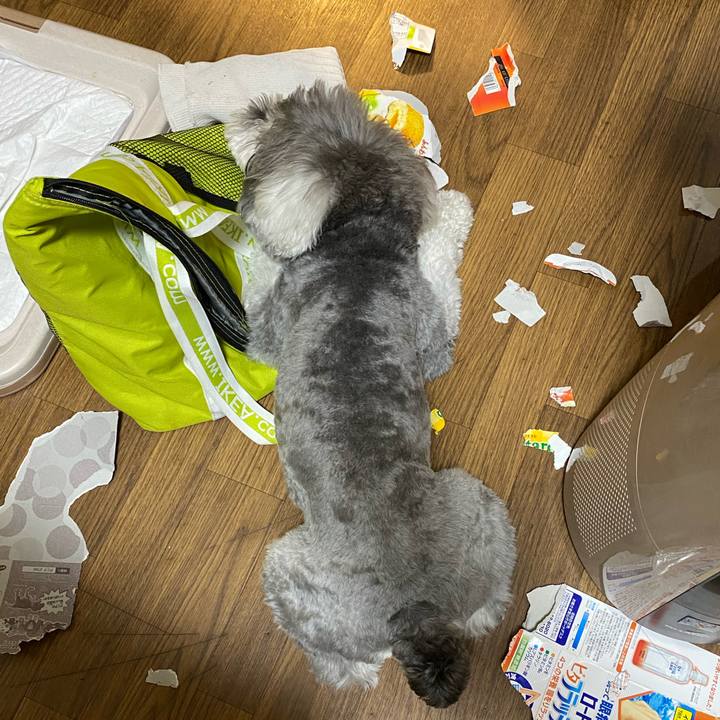 Ebbee589 08f6 4d94 ac5d 87aa727d59b2 1600785937503