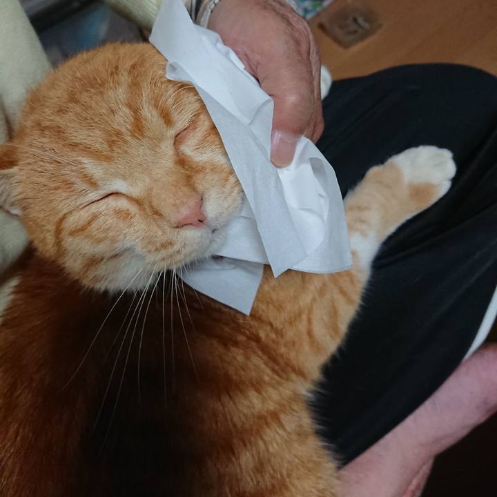 Ebbee9d7 40b2 40fa b3e8 43773d220bb4 1604744087923