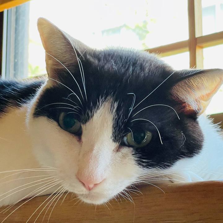 Ebbf00e5 4c88 4acb b708 92a4aae8962d 1633138989896