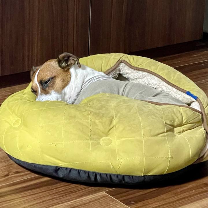 Ebbf6727 6e73 4b46 84e8 ee18b80adf51 1654948613366