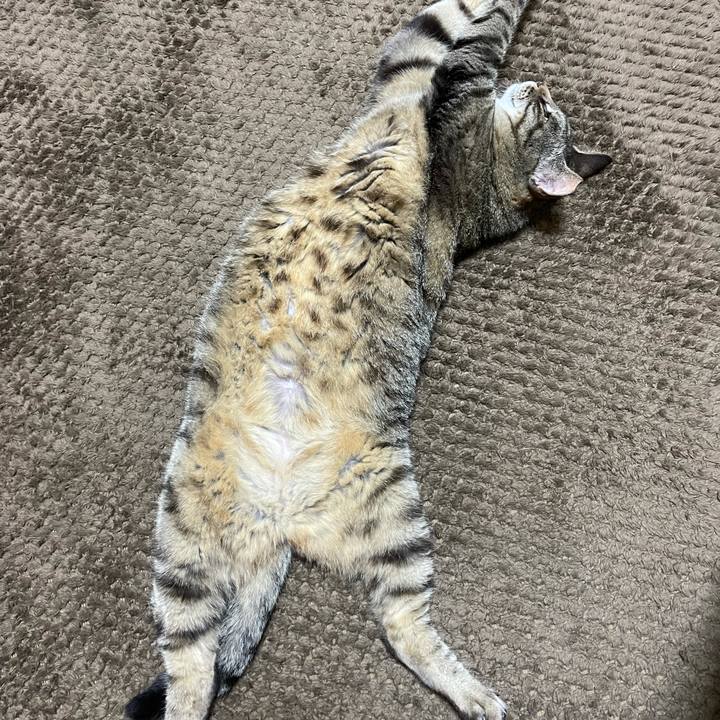 Ebbf767a 0c7d 45a4 9a22 baac9f184a23 1623318581789