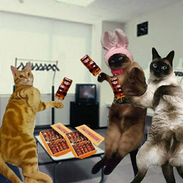 Ebbf7f02 f2d1 4ede be9d 446252cd75bb 1537091350382