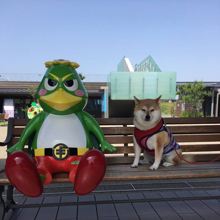 Ebbfa759 f42b 480a a8c9 6786526dad50 1620525737375