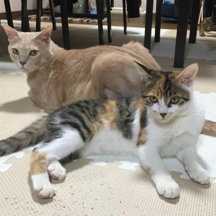 Ebbfa955 105f 4fdd a702 53aaafafe2d1 1637833953826