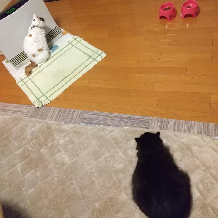 Ebbfb902 21ff 49b6 8f76 b5216b2ebba9 1654503467365