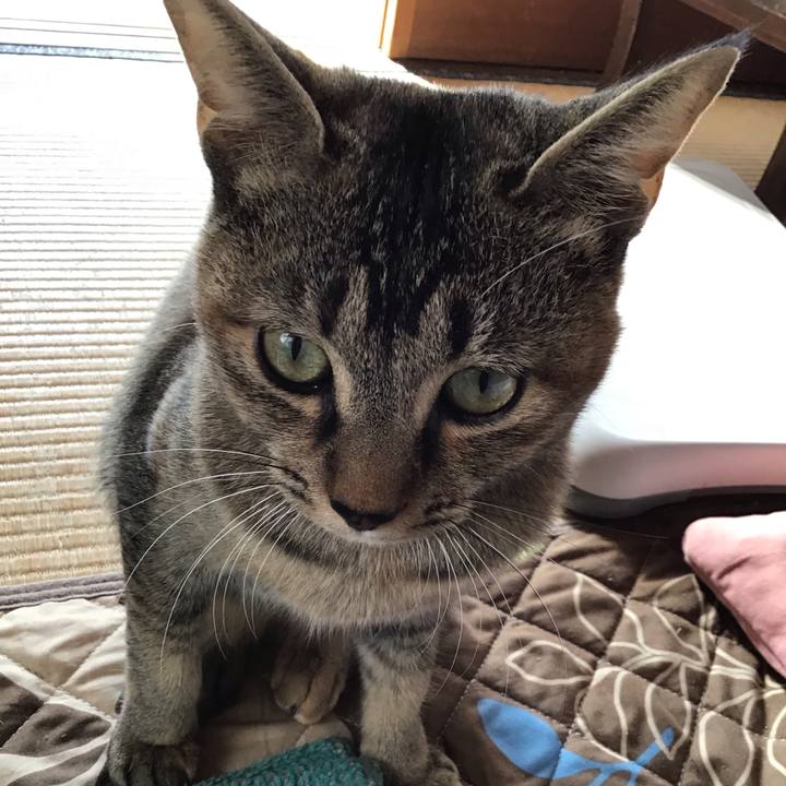 Ebbfbb45 fb4f 4106 bcf0 d47f7c138bcc 1576458033538