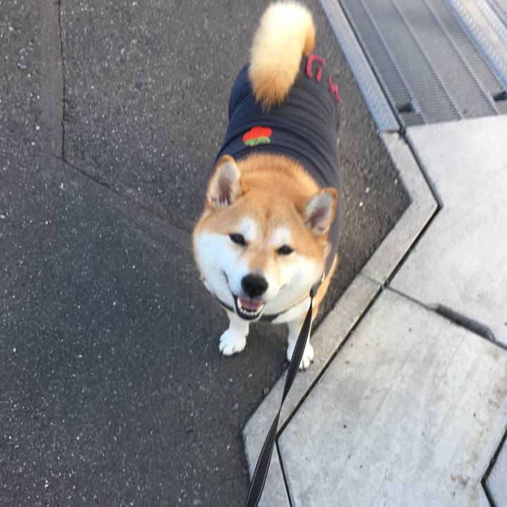 Ebbfcf5e af81 40a4 8ea3 55a988947ce6 1540859470996