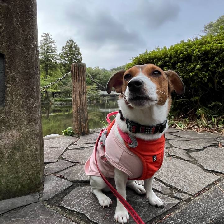 Ebc008d5 e28d 449d 9600 1455789ff746 1760247215014