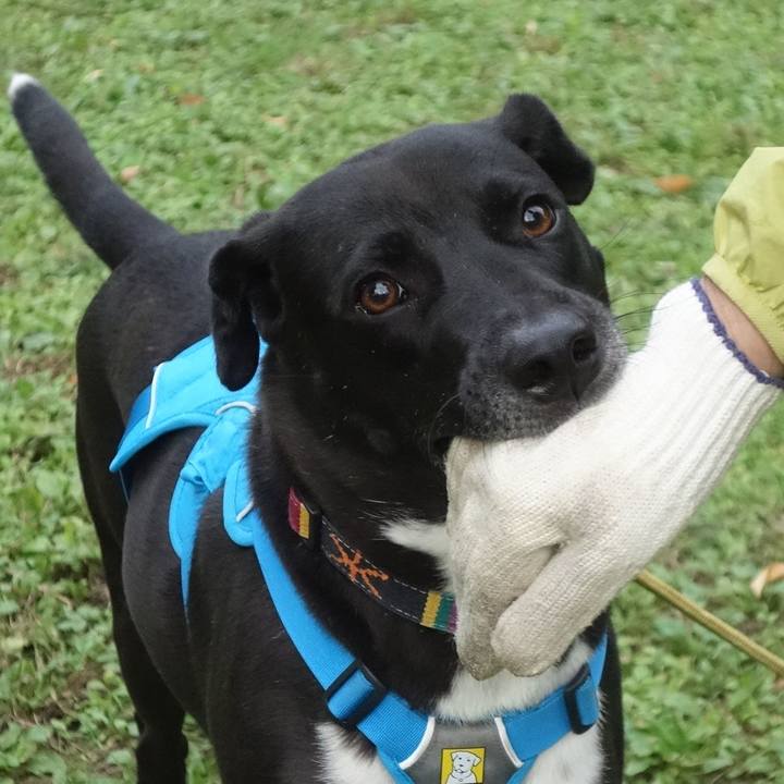 Ebc03f66 6018 4e09 bf87 ea35e27017f2 1604016027020