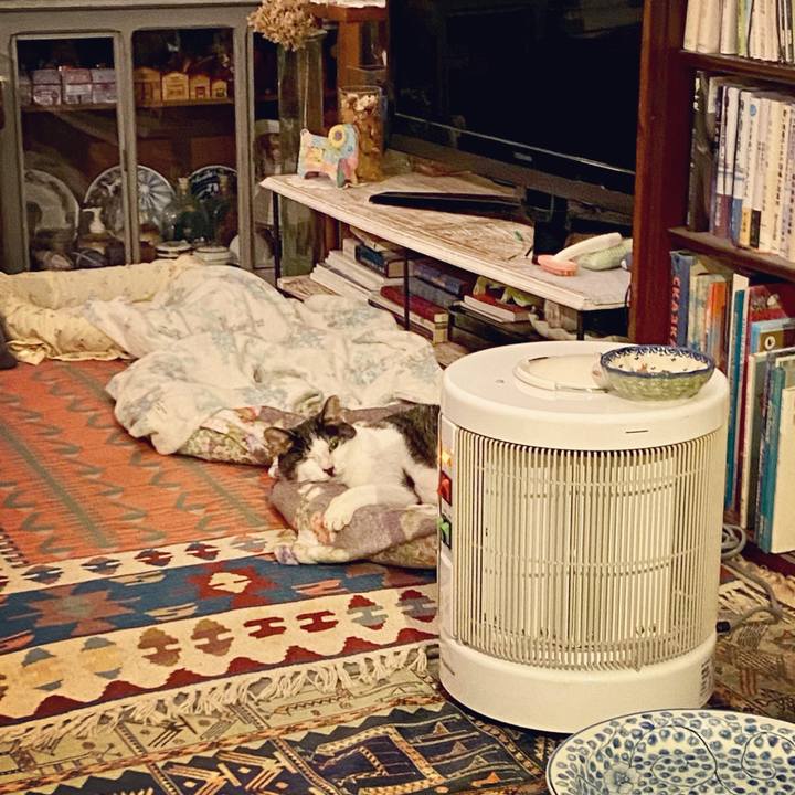 Ebc04032 7cbb 41a3 b38e 8e7201663f5e 1607085549068