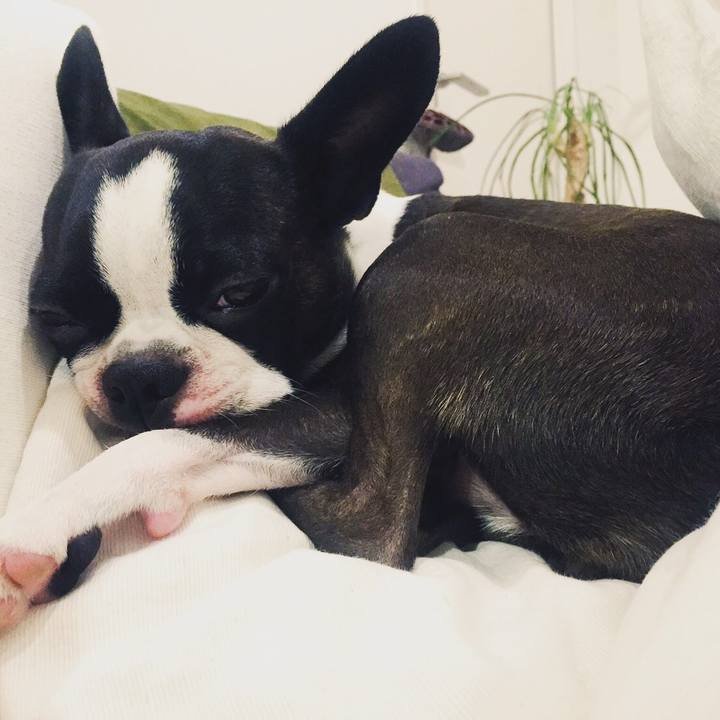 Ebc06242 75b4 4e0f b7e5 241cf36bf27d 1539589257181