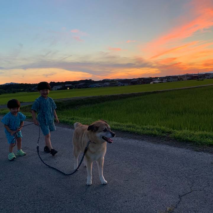 Ebc0a97a d3ce 444c 8084 6c0a00d39e83 1626869412307