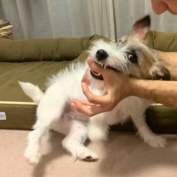 Ebc0db06 339a 4224 b377 362ea15661fe 1570803262403