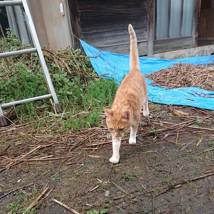 Ebc0ff76 3802 4157 bb6c 987b88b4090f 1594200982945