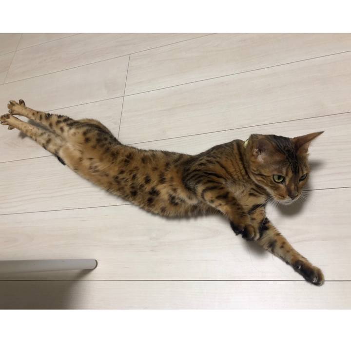 Ebc120d1 7213 4ba4 9cce 4159f76b4242 1568424934279