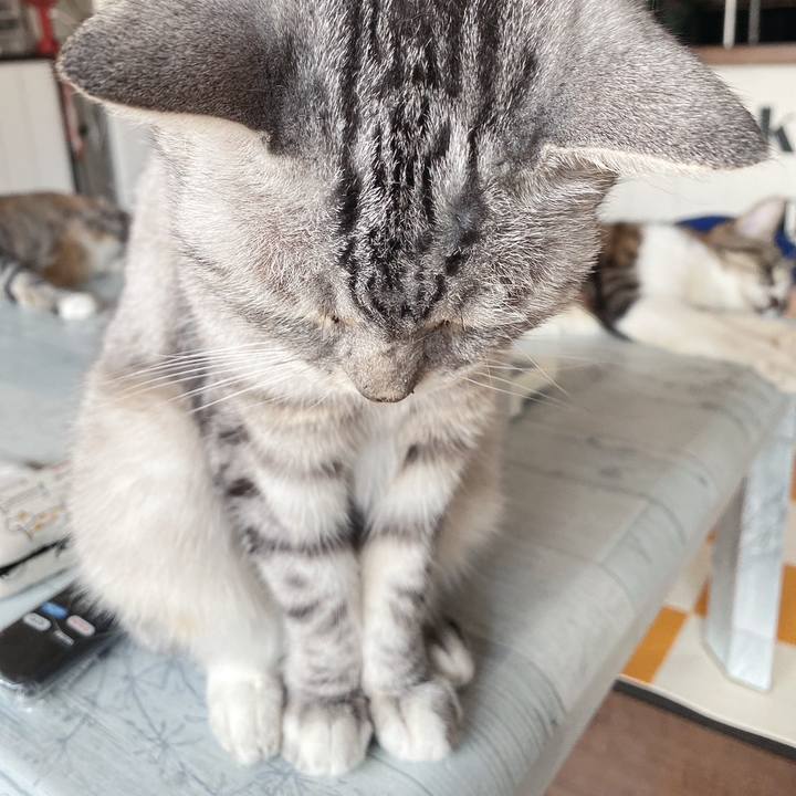 Ebc12faa bd4e 483c 90a2 8a7d3a00f2e1 1689716394971