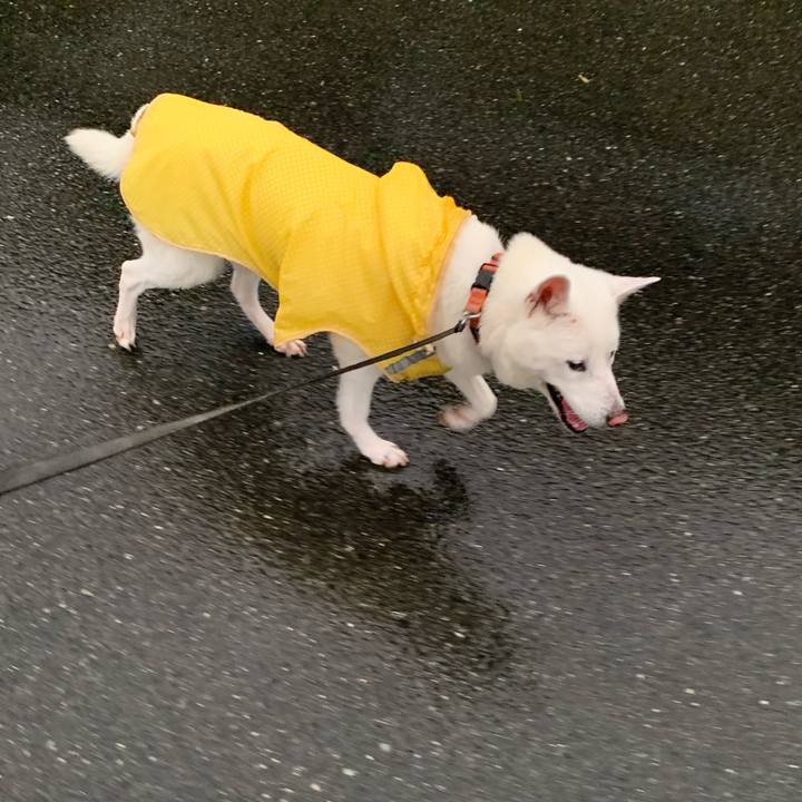 Ebc163d5 d09d 4a0b 9ed4 af7f38b1167b 1570876517458