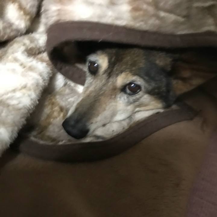 Ebc189e7 49c1 4e31 915c 54824acaec10 1524793495996