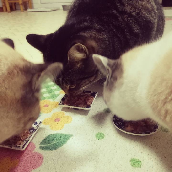 Ebc19586 7a58 415e 8973 3270e7a1cf19 1514199654696