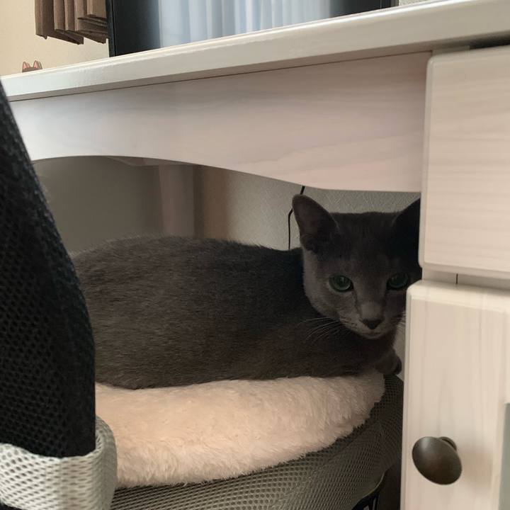 Ebc1a03b c0a0 414c 84c1 90adadf2aa75 1574764681428