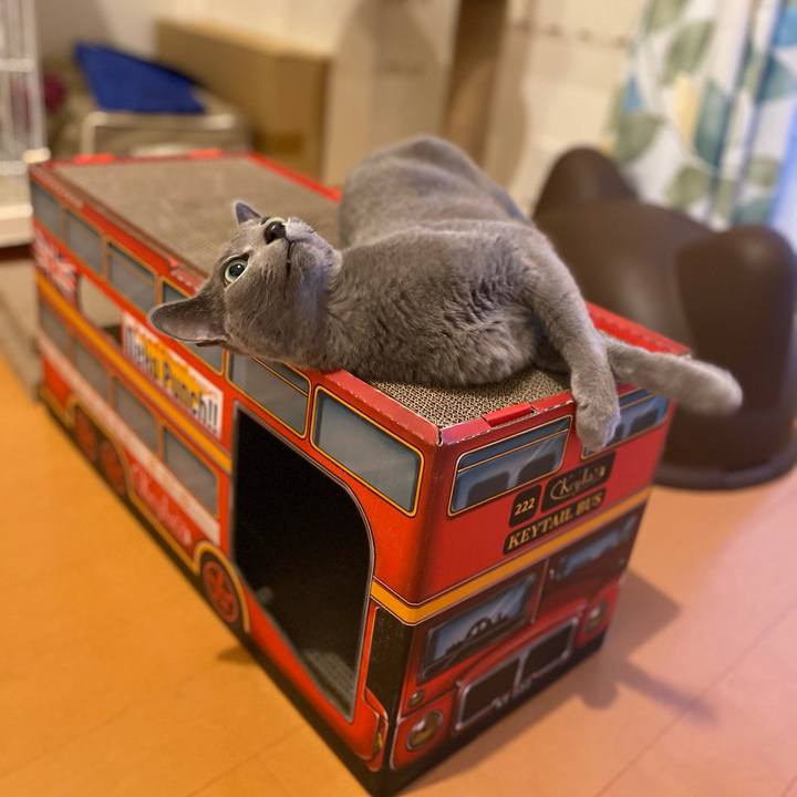 Ebc245fb 9f5e 42bf 874a efdac6176e92 1687002945858