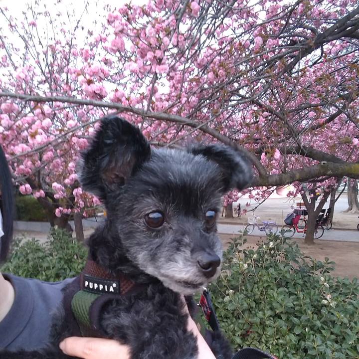 Ebc26f59 a858 415e 97e1 d23e78caef2d 1649667823812