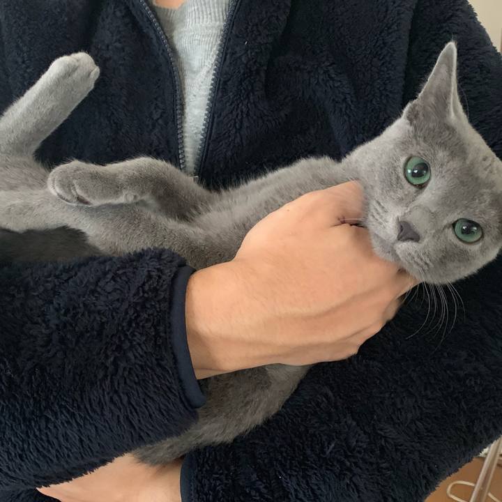 Ebc2b6b9 e0cb 4a36 9860 7f0be36ba0c2 1576377245854