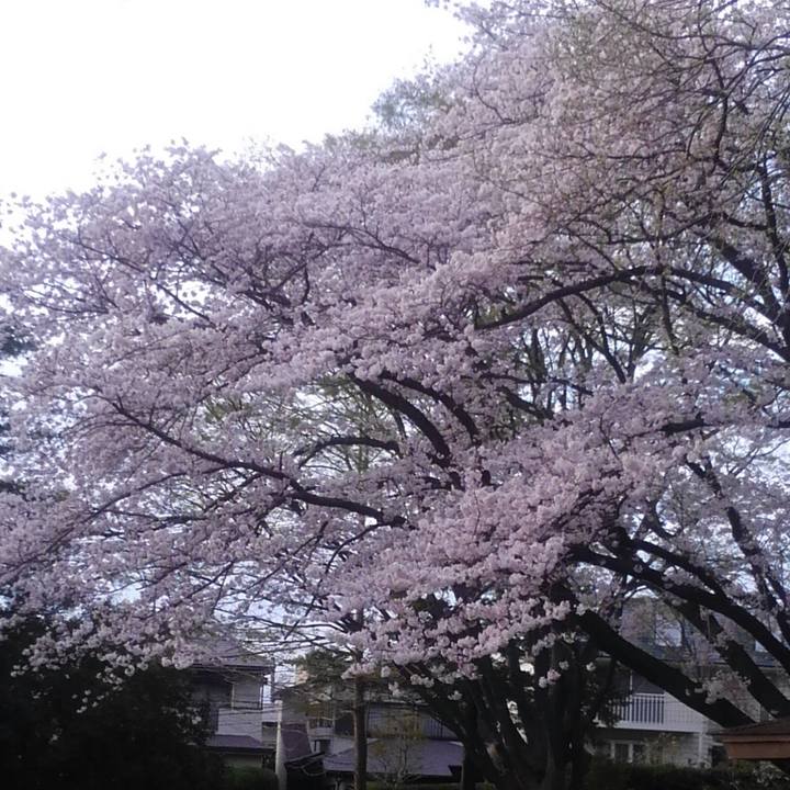 Ebc2c067 eb45 4fa0 b937 438b6256dddc 1522193972030