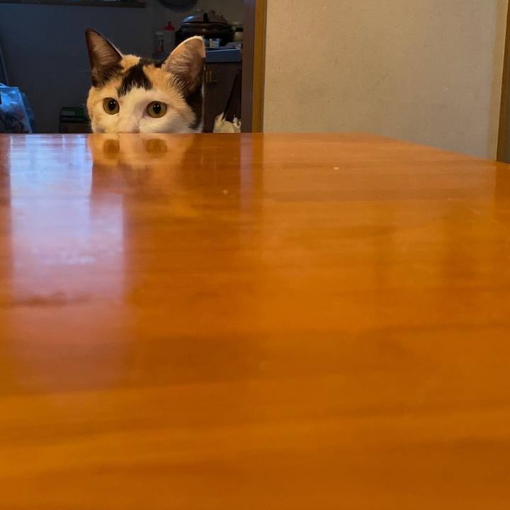 Ebc2d35e d40c 4508 8f0a b1f48c03d57e 1675593930232