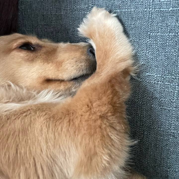 Ebc2d99b af4d 4c4b 96cc e8aa33800d35 1682826601193