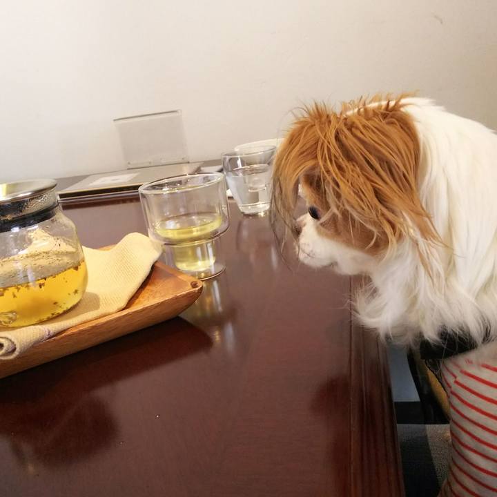 Ebc2e993 6516 4d40 923b 5c8372c8717e 1521860298837