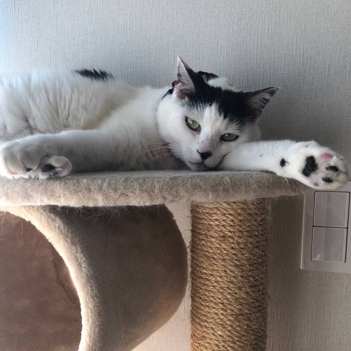 Ebc2fc03 ac02 4de1 a8a7 22502adf749b 1526799049406