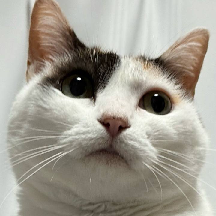 Ebc39504 01d0 4146 8f52 75e4fd2dd613 1750733690118