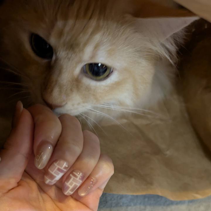 Ebc396ab cd2e 4556 9df2 65f737183acf 1757682410220