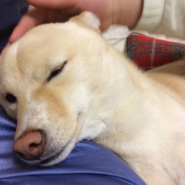 Ebc3b111 f115 4c74 b07e 966333b32063 1518258234567