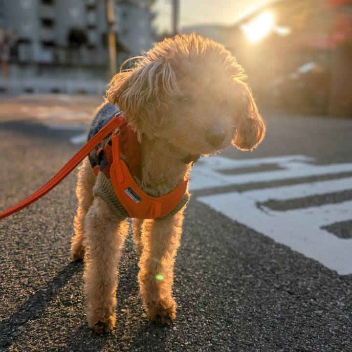 Ebc3c3c1 0119 4a79 9e1d 7aa6c515e38a 1768001726269