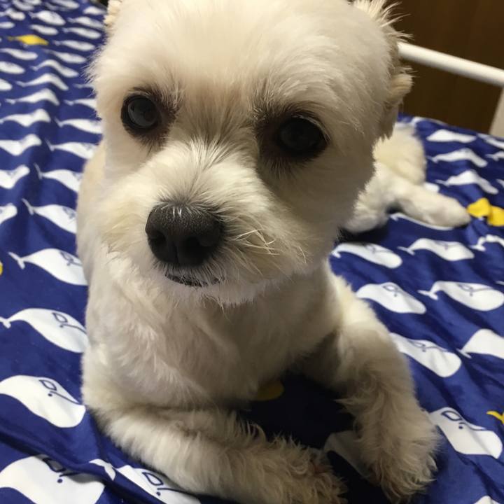 Ebc3d12b 7276 47ae 87c4 8eb4343ad84c 1564145590045