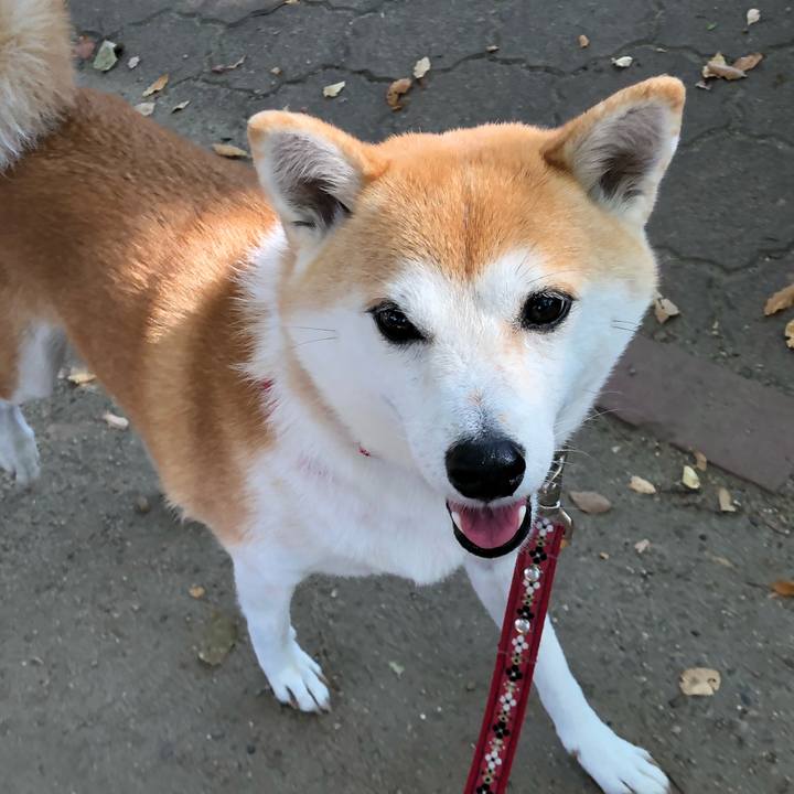 Ebc3dc29 f691 492d 87e5 90bbfed29a6c 1604195487928