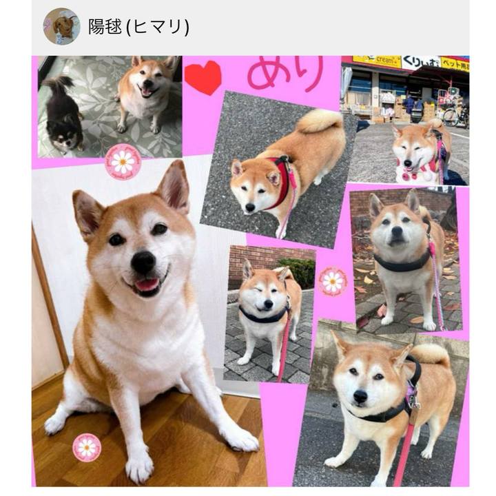 Ebc3e218 64d2 4de9 90ff 79893ab609fd 1702704564146