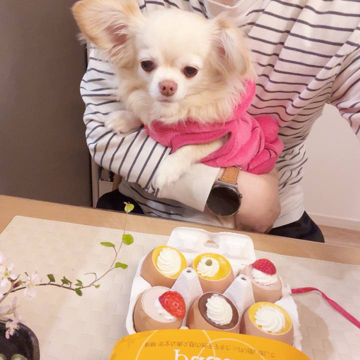 Ebc417fc 8fe1 4781 a27e ad1813fce5cd 1742219330447