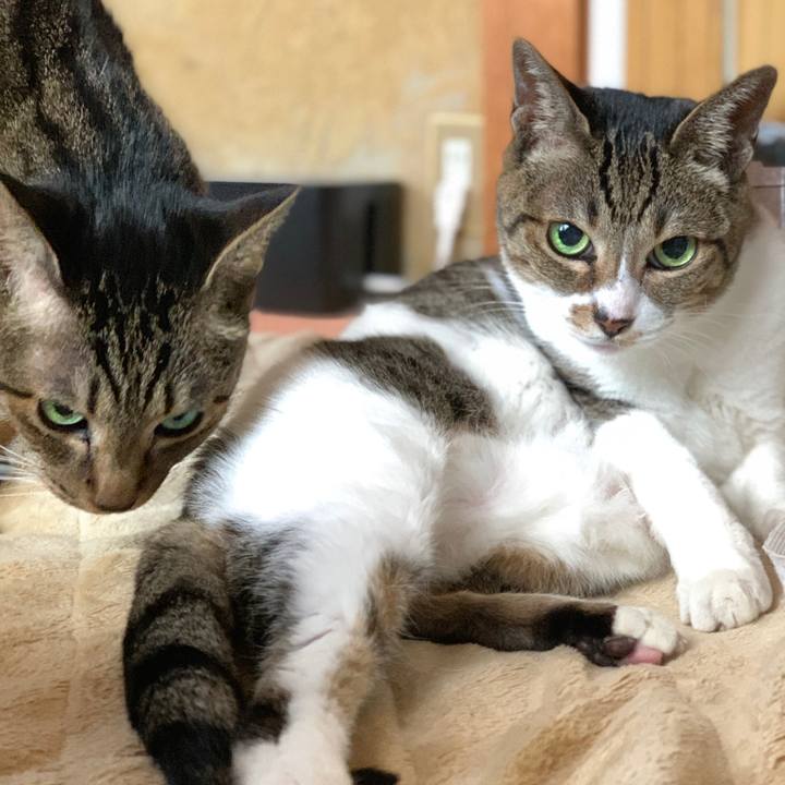 Ebc41e27 4944 481e a249 087830b0f59e 1576978023938