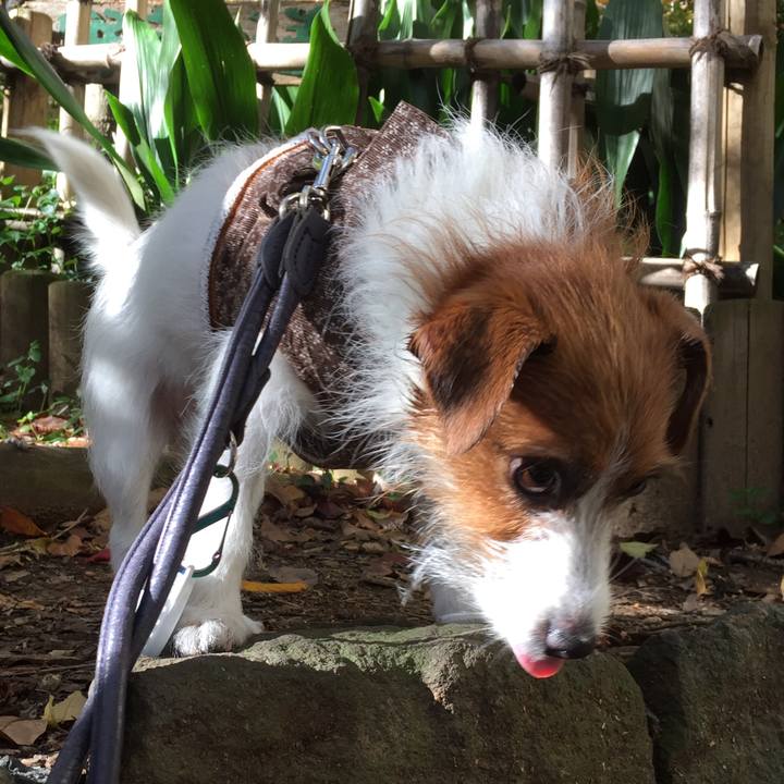 Ebc43d04 88a9 4f7c aa66 4e8b772b42f4 1511840573642