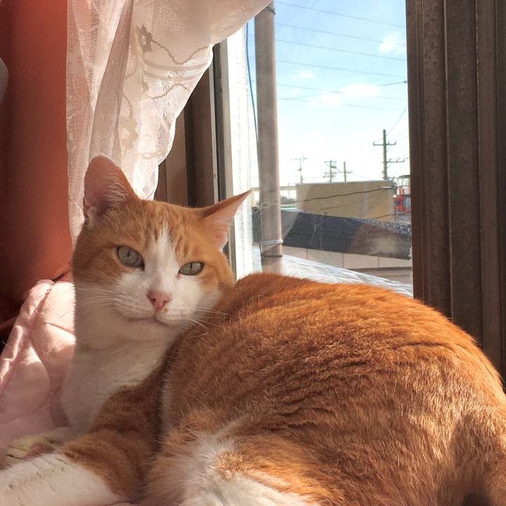 Ebc46350 5261 4e42 960b 51670d2ca0b7 1577170686712